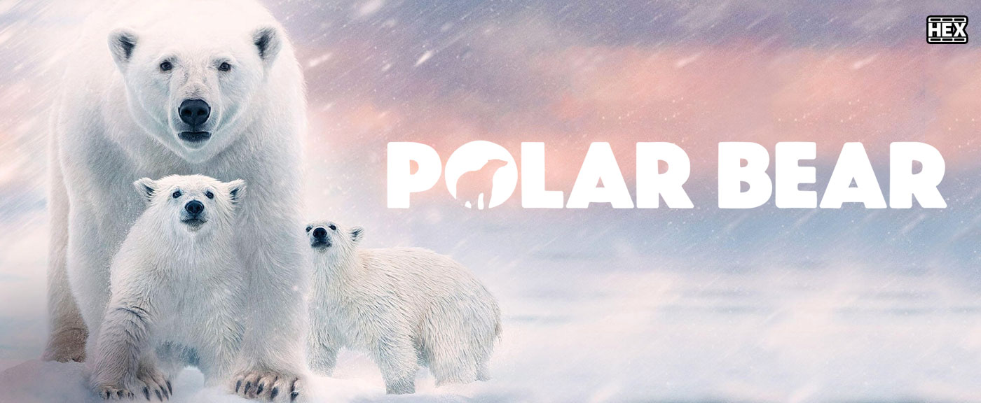 تصویر فیلم Polar Bear