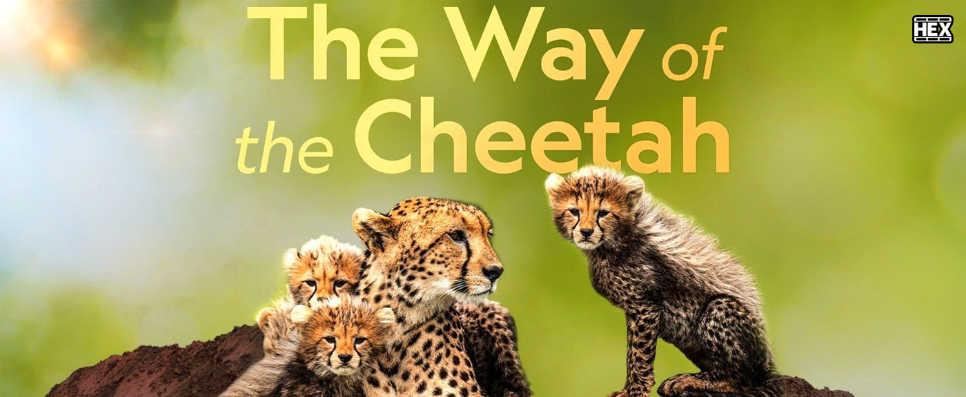 تصویر سریال The Way of the Cheetah