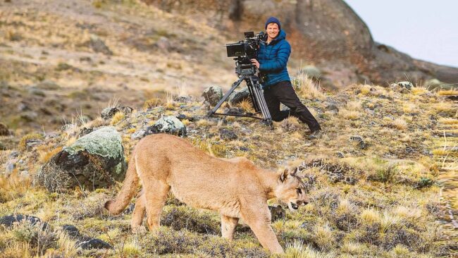 دانلود مستند حیوانات از نزدیک با برتی گرگوری Animals Up Close with Bertie Gregory