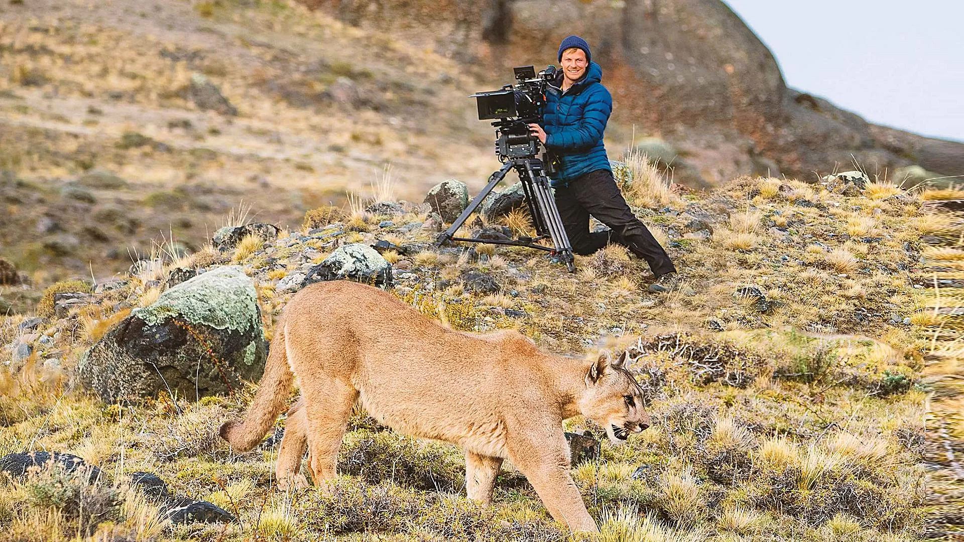 دانلود مستند حیوانات از نزدیک با برتی گرگوری Animals Up Close with Bertie Gregory