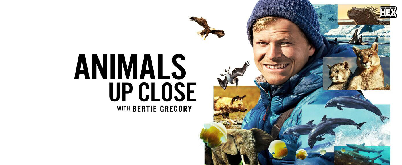 تصویر سریال Animals Up Close with Bertie Gregory