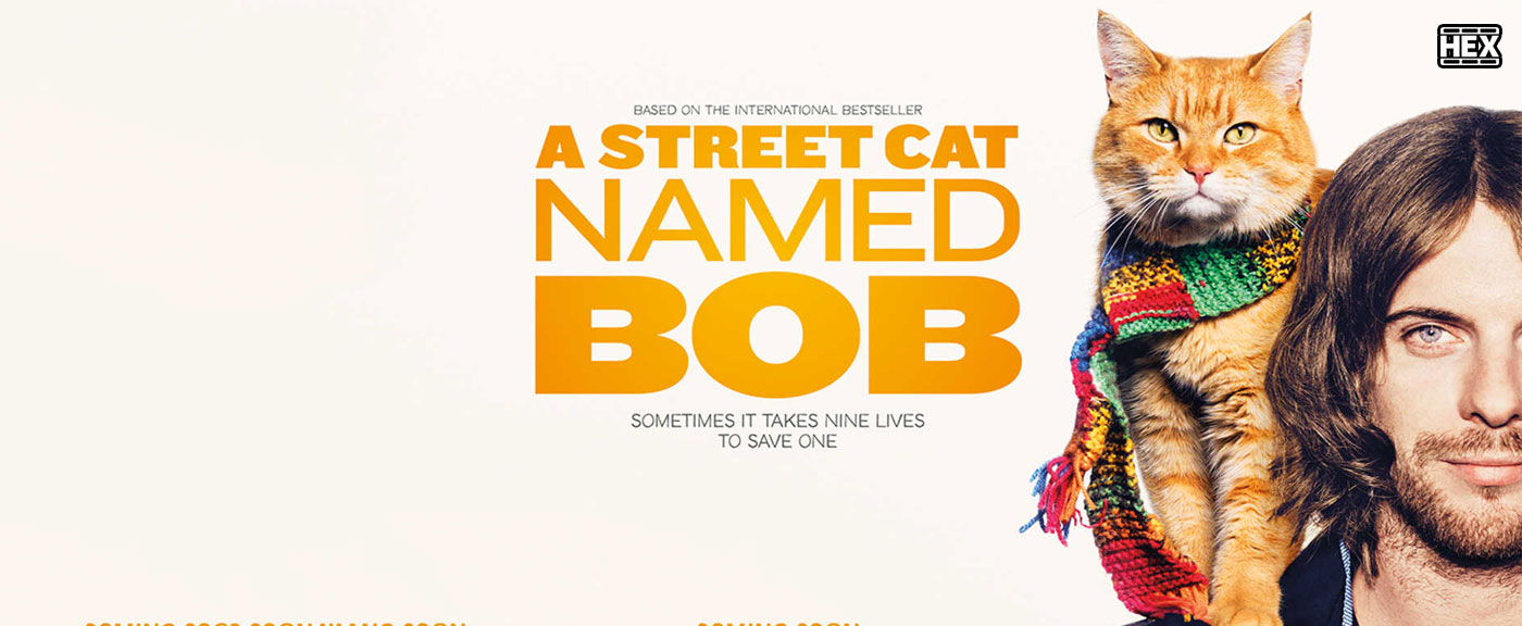 دانلود فیلم گربه خیابانی به نام باب A Street Cat Named Bob 2016