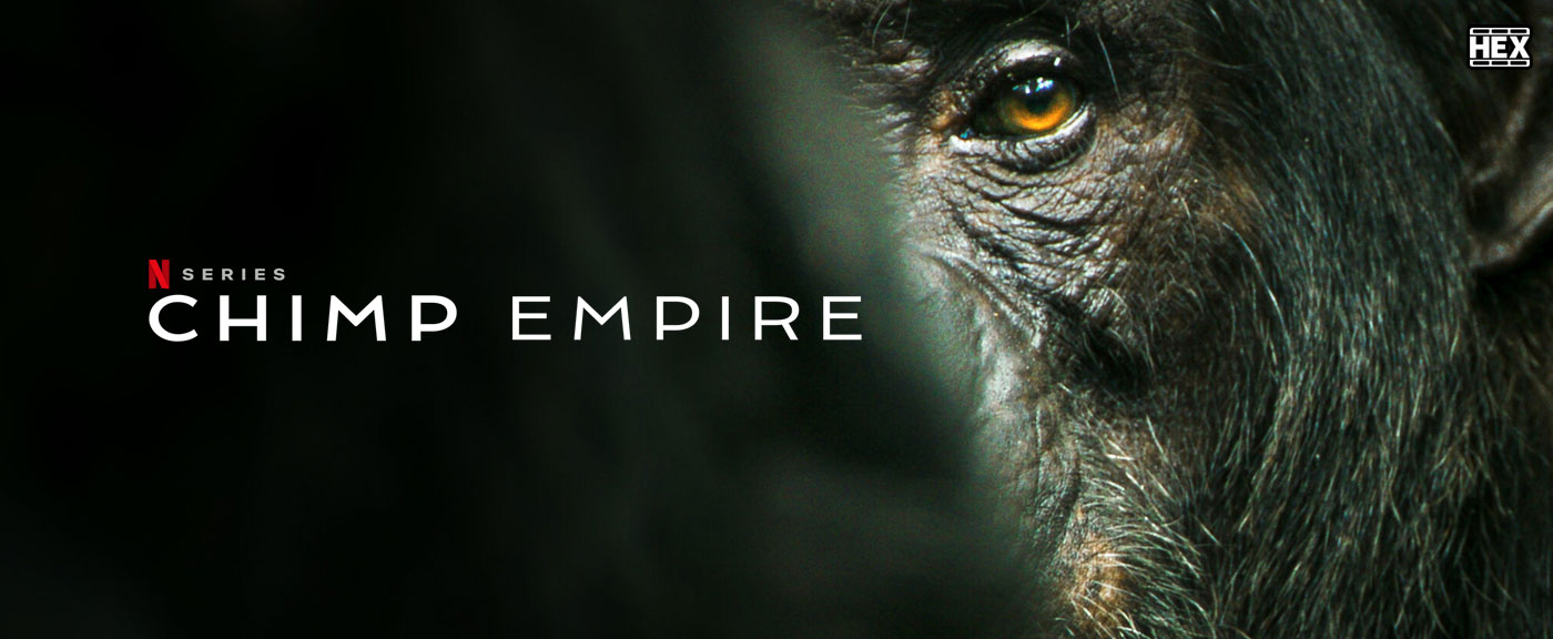 تصویر سریال Chimp Empire