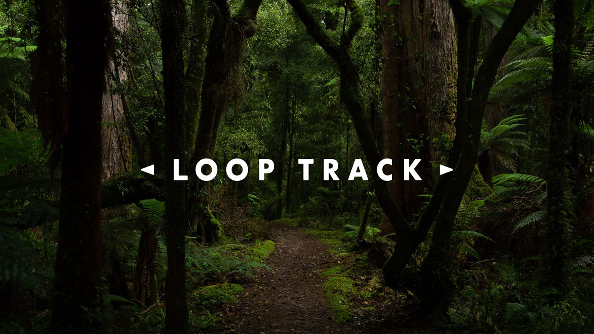 تصویر فیلم Loop Track