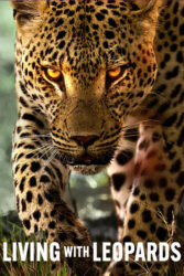 دانلود مستند زندگی با پلنگ ها Living with Leopards 2024