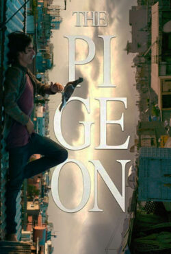 دانلود فیلم کبوتر The Pigeon 2018