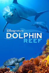 دانلود مستند صخره دلفین Dolphin Reef 2018