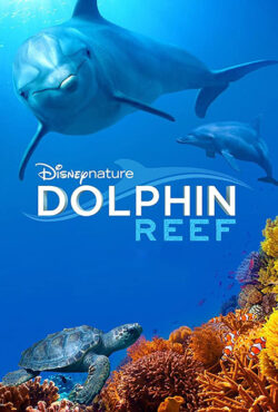 دانلود مستند صخره دلفین Dolphin Reef 2018