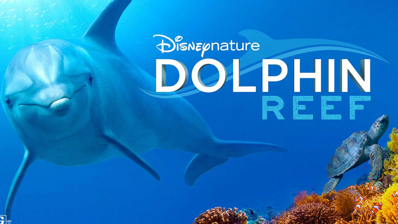 دانلود مستند صخره دلفین Dolphin Reef 2018