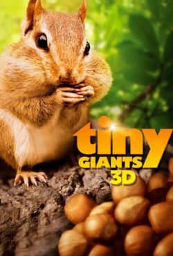 دانلود مستند غول های کوچک سه بعدی Tiny Giants 3D 2014