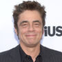 Benicio del Toro
