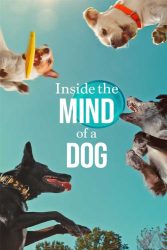 دانلود مستند درون ذهن یک سگ Inside the Mind of a Dog 2024