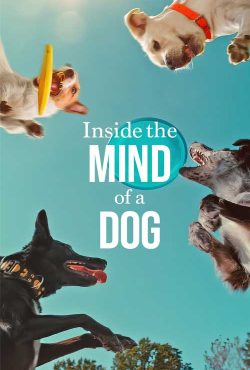 دانلود مستند درون ذهن یک سگ Inside the Mind of a Dog 2024