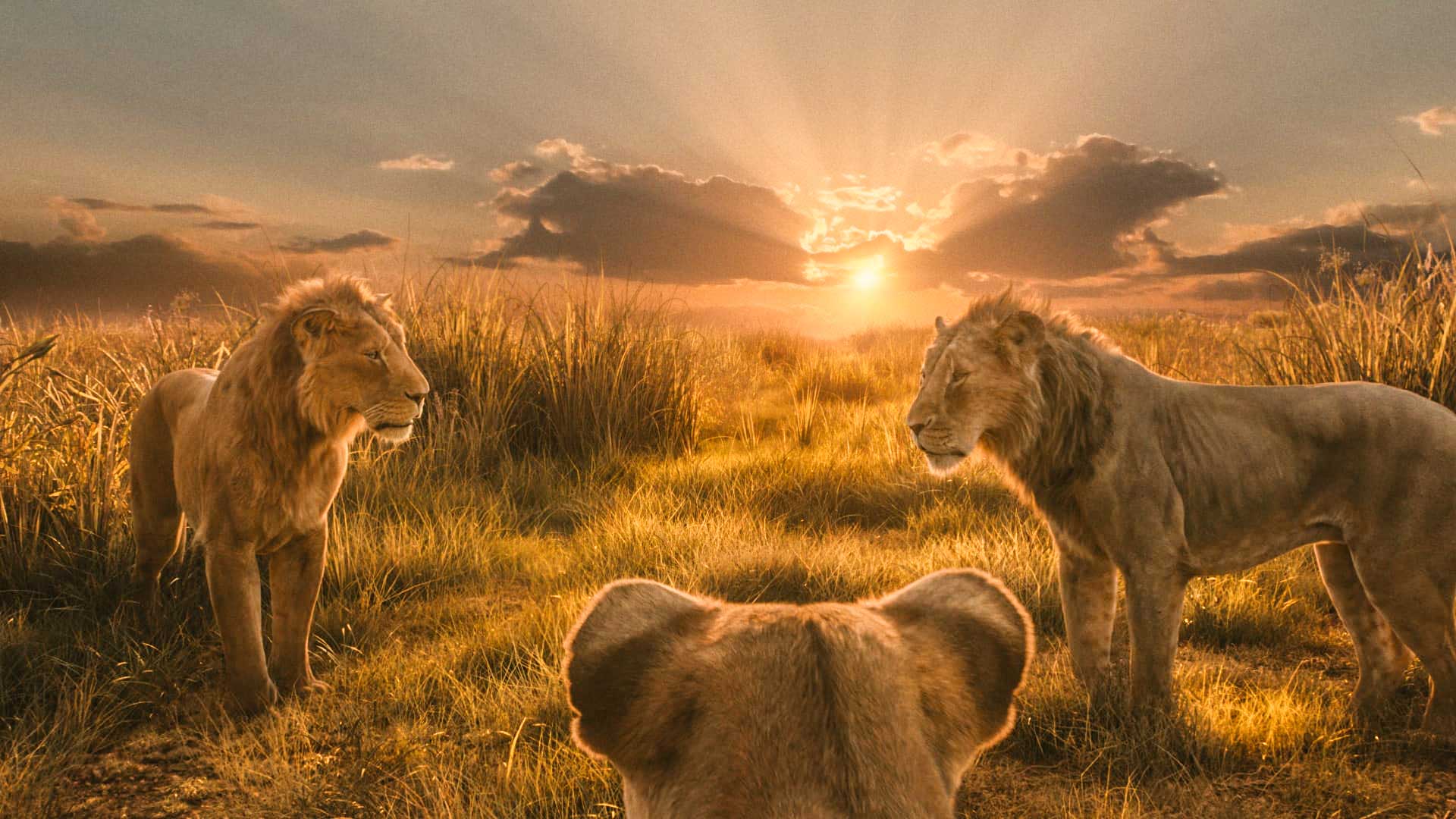 فیلم موفاسا : شاه شیر Mufasa: The Lion King 2024