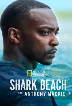 دانلود مستند ساحل کوسه با آنتونی مکی Shark Beach with Anthony Mackie 2024