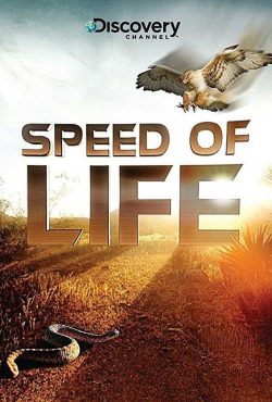 دانلود مستند سرعت زندگی Speed of Life 2010