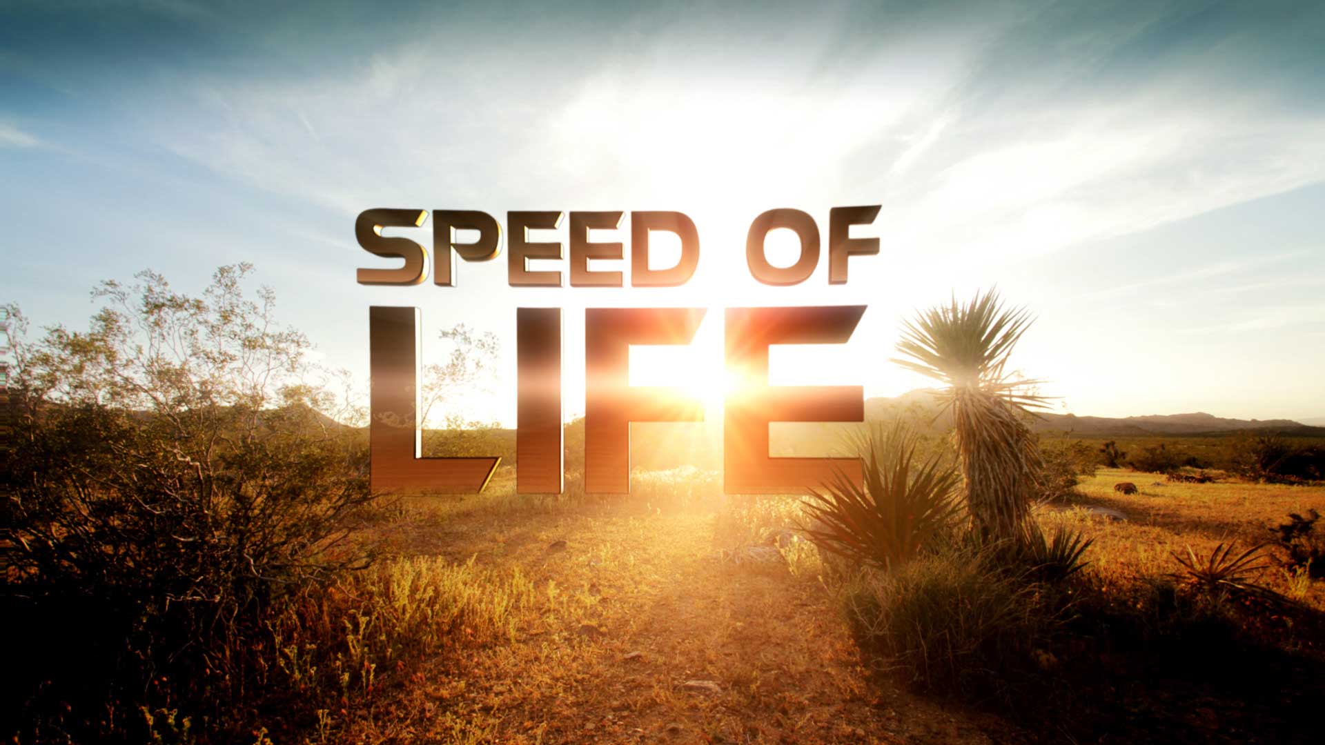 دانلود مستند سرعت زندگی Speed of Life 2010