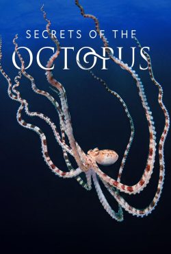 دانلود مستند اسرار اختاپوس Secrets of the Octopus 2024