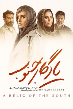دانلود فیلم یادگار جنوب