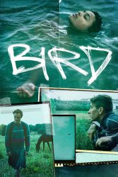 دانلود فیلم پرنده Bird 2024