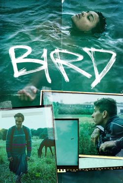 دانلود فیلم پرنده Bird 2024