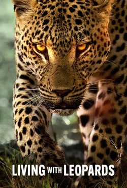 دانلود مستند زندگی با پلنگ ها Living with Leopards 2024