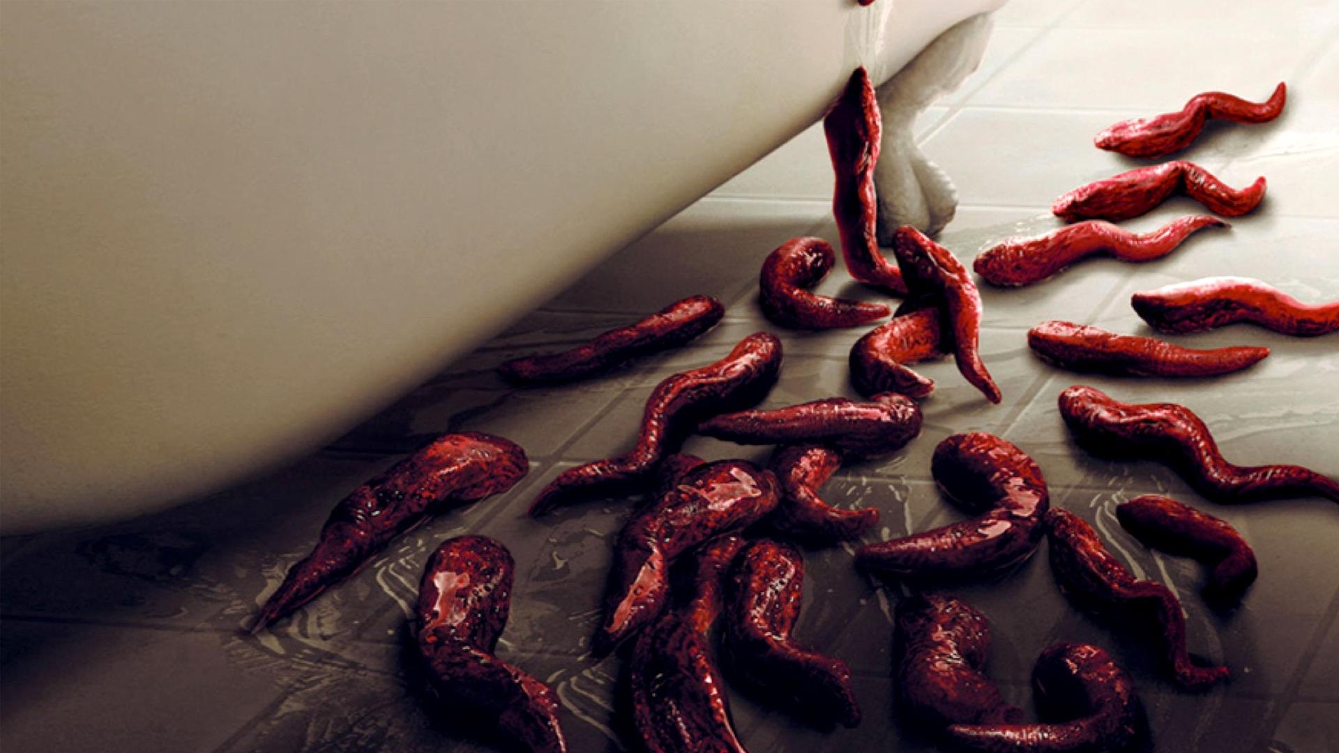 دانلود فیلم خزیدن Slither 2006
