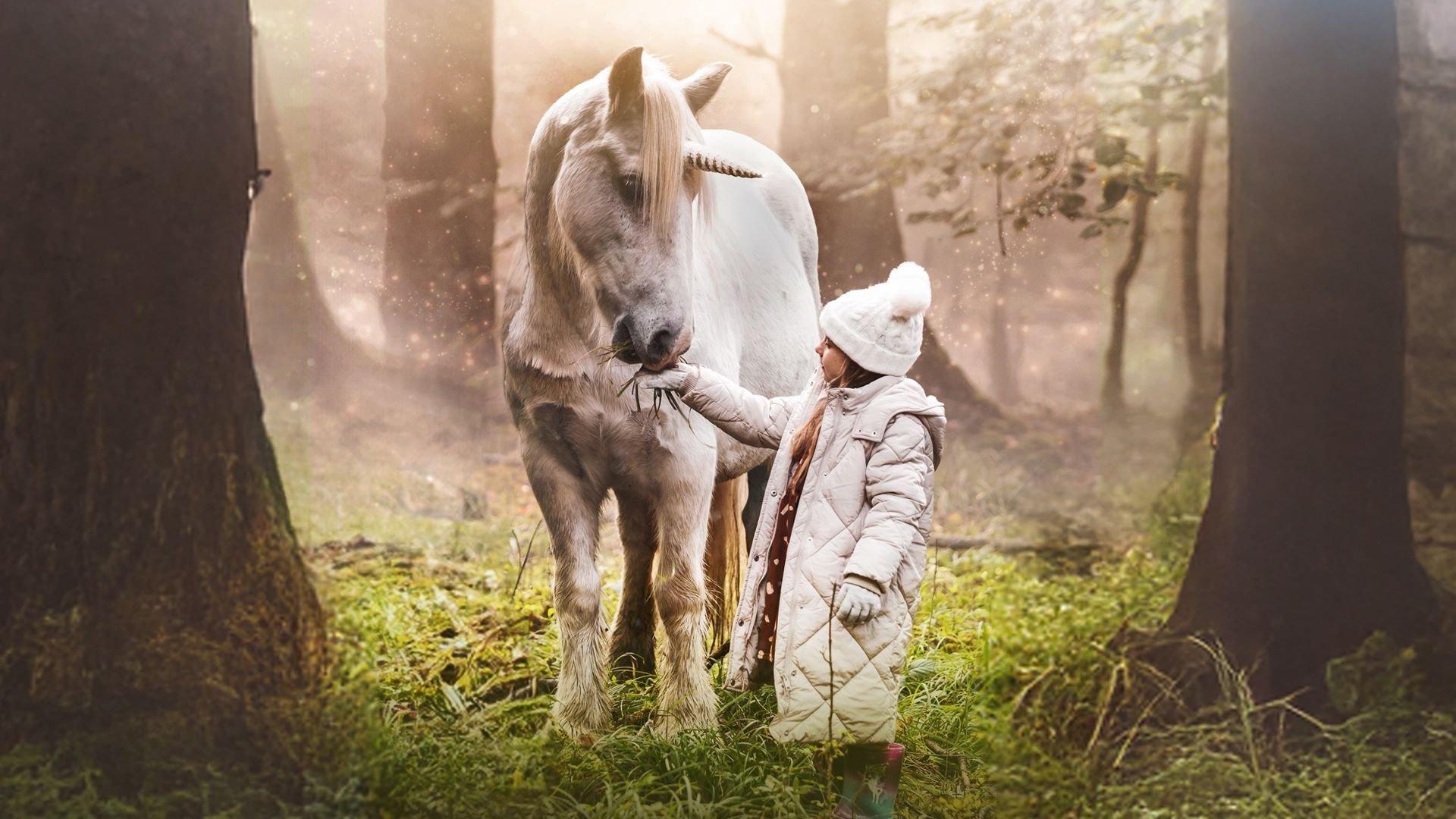 دانلود فیلم قصه تک شاخ جنگل Tale of the Forest Unicorn 2025