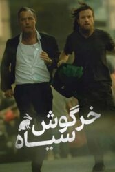 خرگوش سیاه 2025