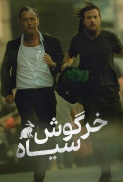 دانلود سریال خرگوش سیاه Black Rabbit