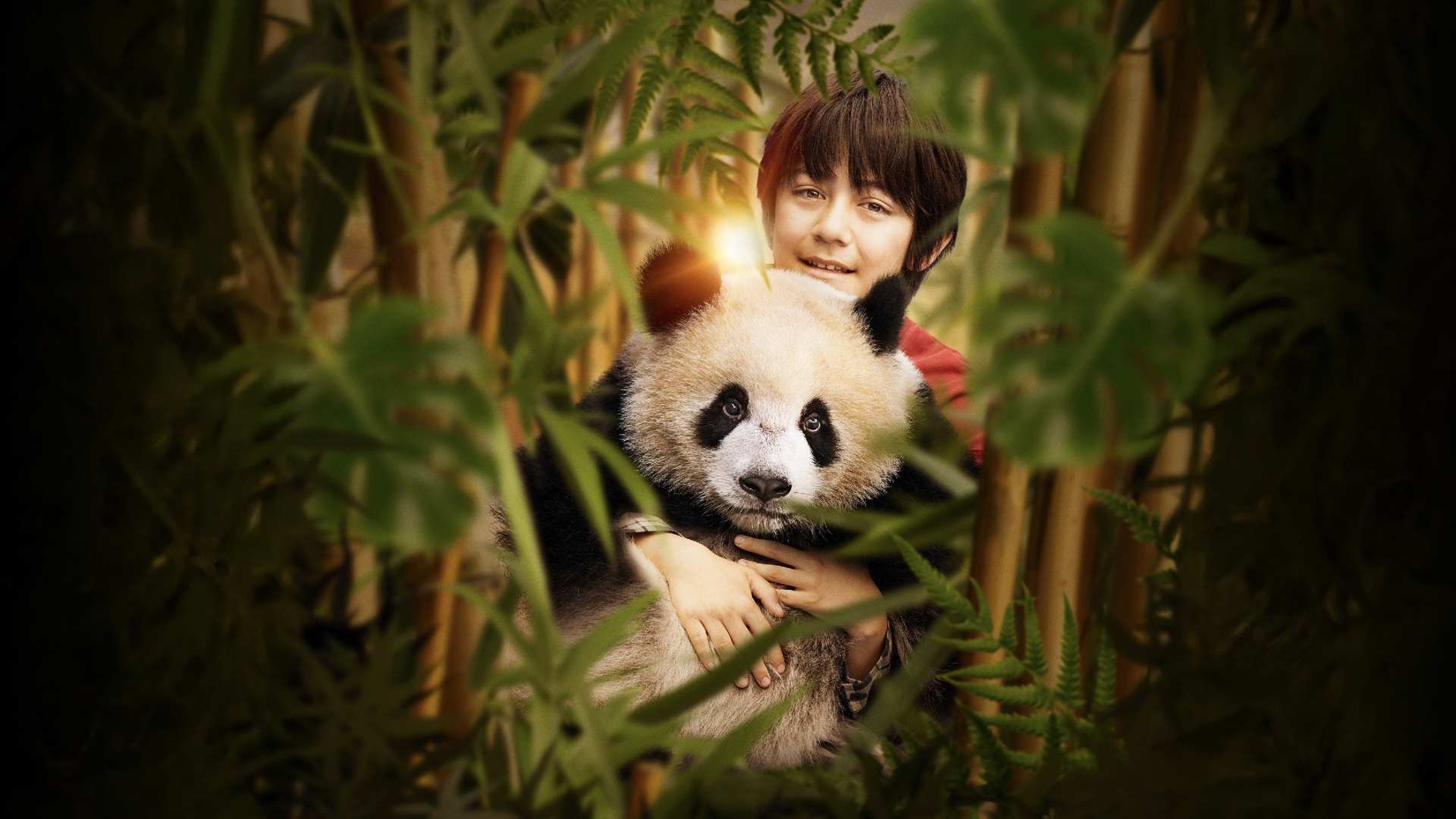 دانلود فیلم پاندایی به نام مون Moon the Panda 2025