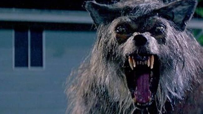 دانلود فیلم ورولف Werwulf 2026