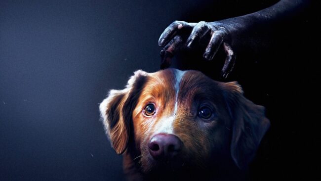 دانلود فیلم پسر خوب Good Boy 2025
