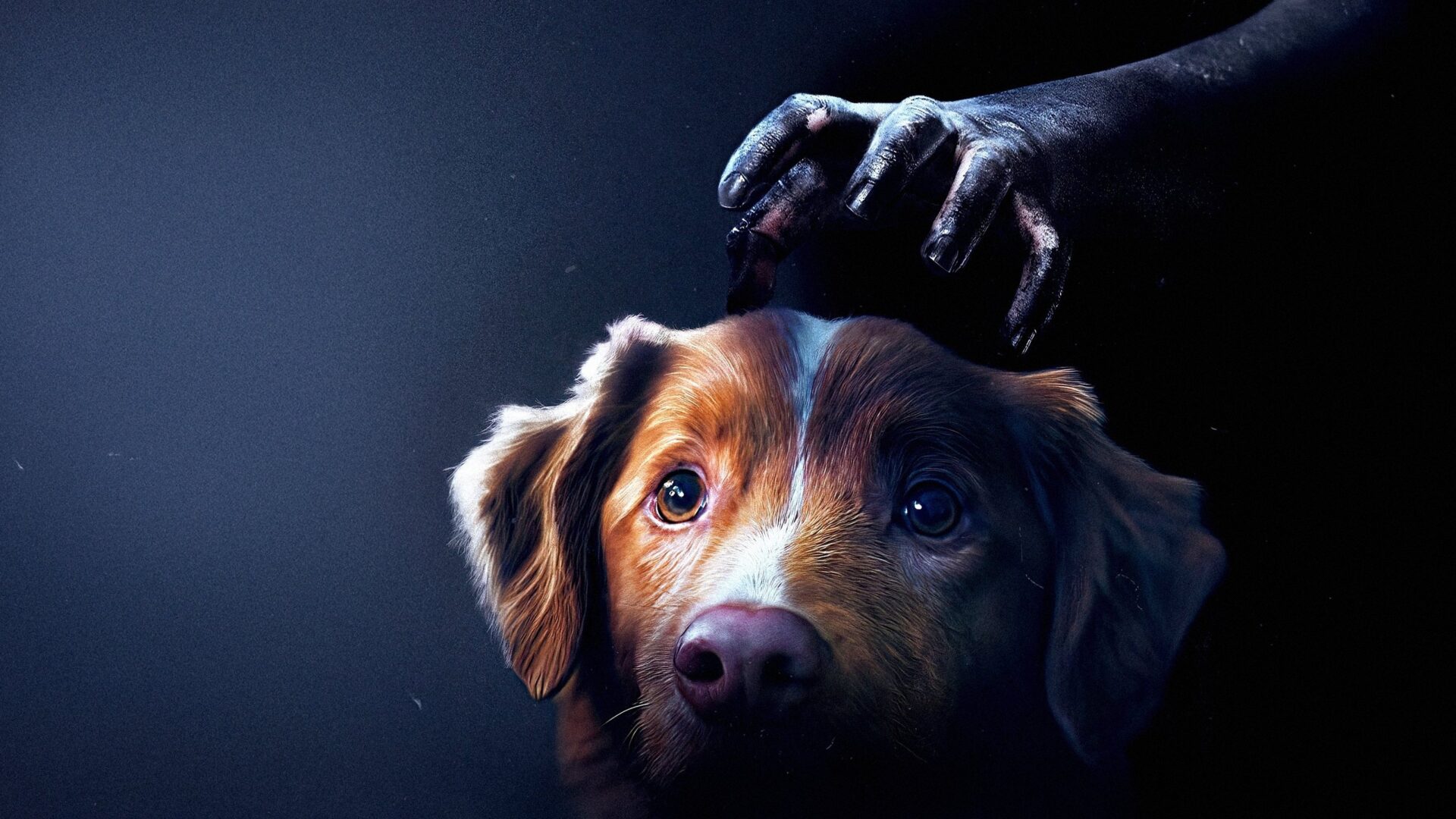 دانلود فیلم پسر خوب Good Boy 2025