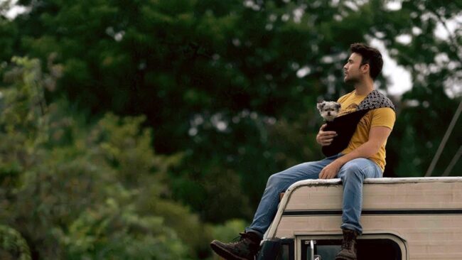 دانلود فیلم سگ ها در جاده Dogs on the Sendero 2024