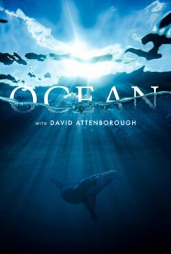 دانلود فیلم اقیانوس با دیوید آتنبرو Ocean with David Attenborough 2025