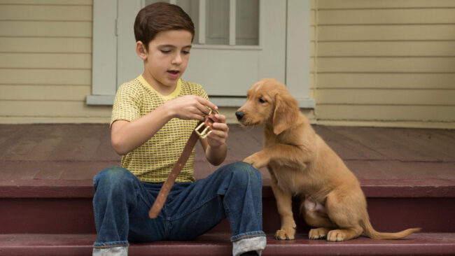 دانلود فیلم هدف سگ A Dog’s Purpose 2017