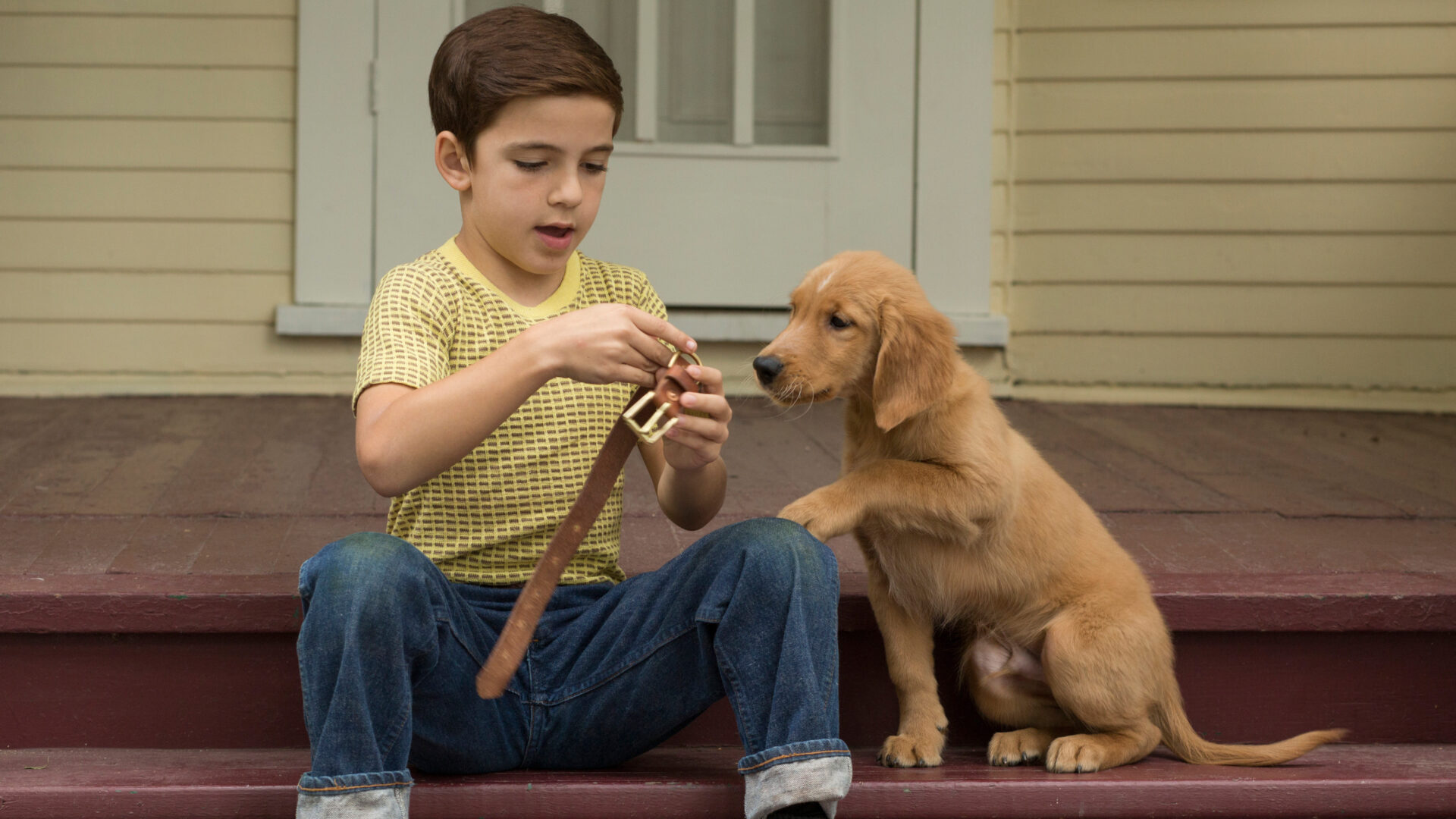 دانلود فیلم هدف سگ A Dog’s Purpose 2017