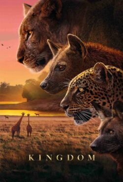 دانلود سریال پادشاهی Kingdom