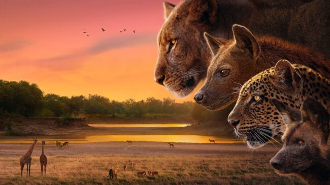 دانلود سریال پادشاهی Kingdom