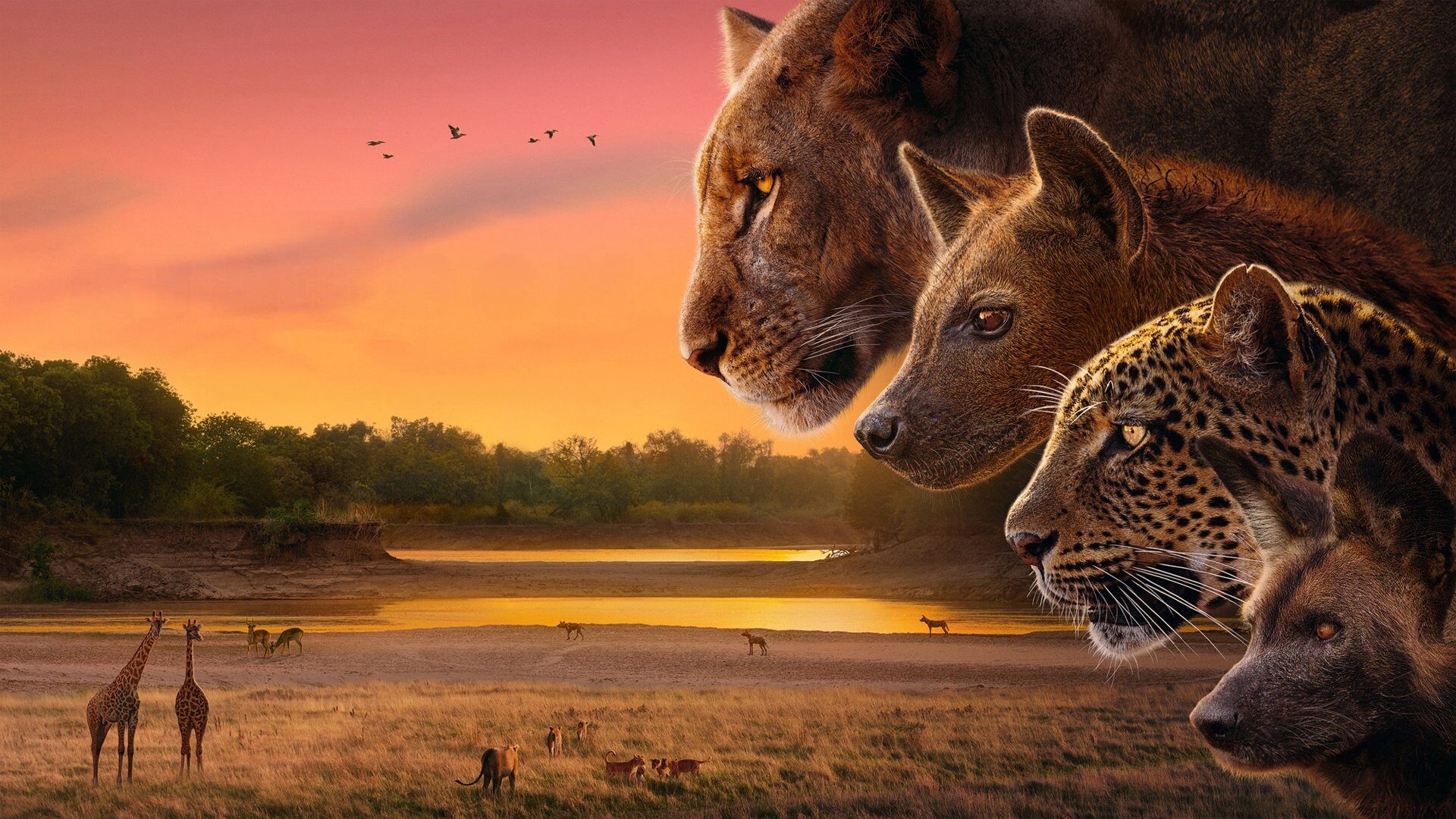دانلود سریال پادشاهی Kingdom