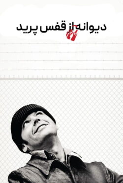 دیوانه از قفس پرید
