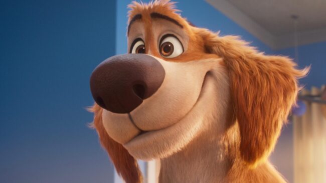 دانلود انیمیشن چارلی سگ شگفت انگیز Charlie the Wonderdog 2026
