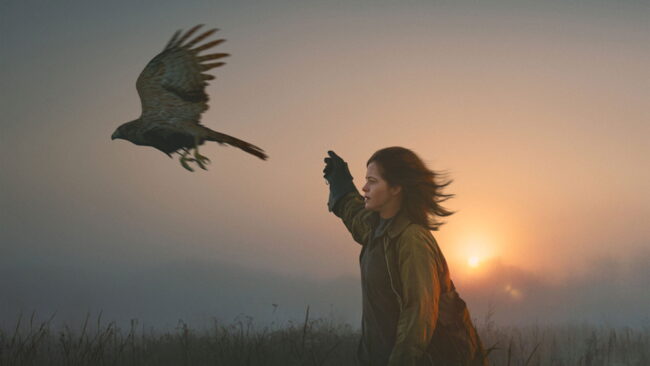 دانلود فیلم ب مثل باز H Is for Hawk 2025