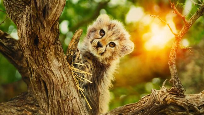 دانلود سریال متعلق به آزادی Born to Be Wild