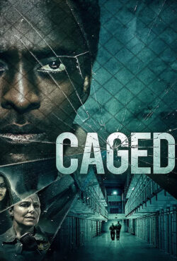 فیلم