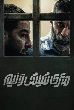 فیلم