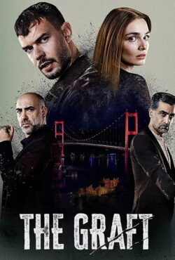 آناتومی آشوب