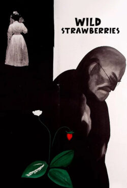 دانلود فیلم توت فرنگی های وحشی Wild Strawberries 1957