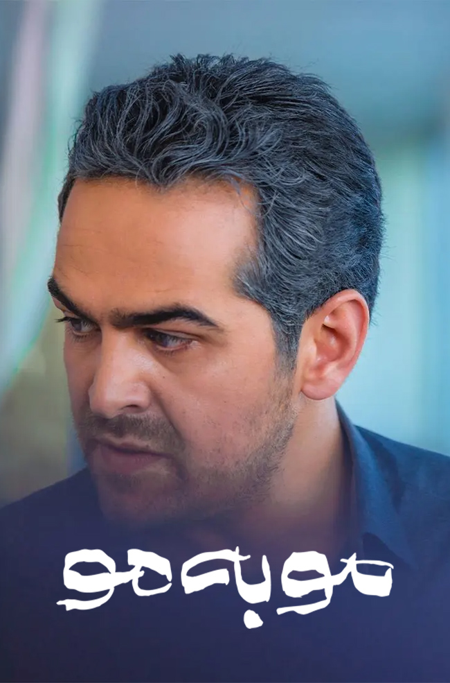دانلود سریال مو به مو با کیفیت BluRay | هانیه توسلی، میرسعید مولویان